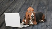 Can an old dog learn new technologies?